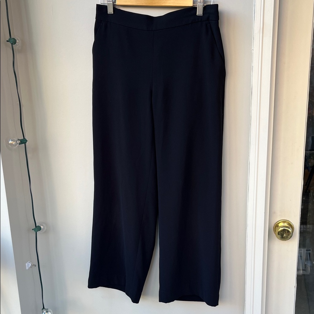 LOFT Wide Leg Poly Crop Pants